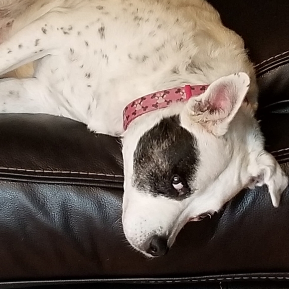 Meet your Posher, Amy - Picture 2 of 3